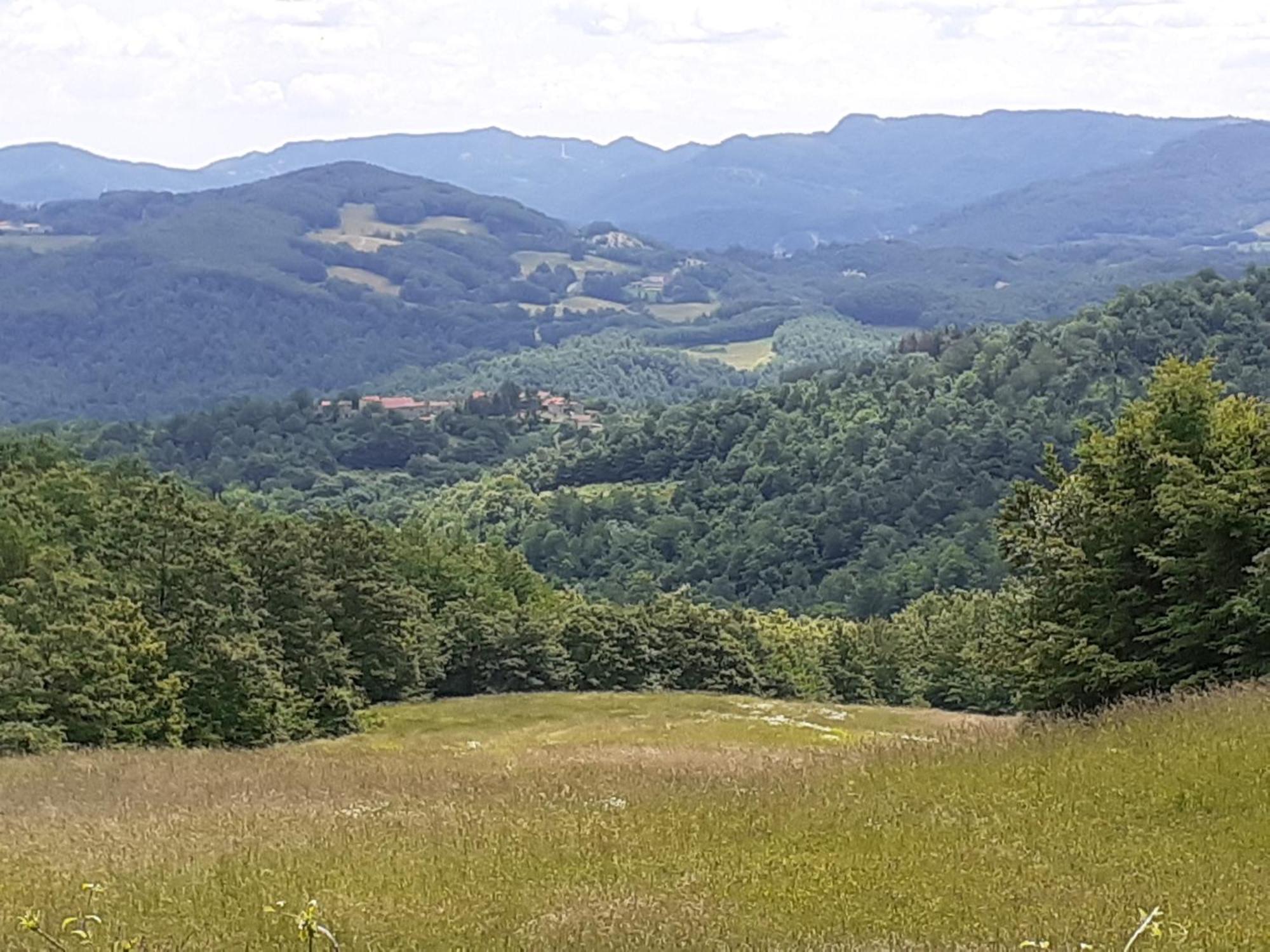 Caprile Fattoria Di Arsicci别墅 外观 照片
